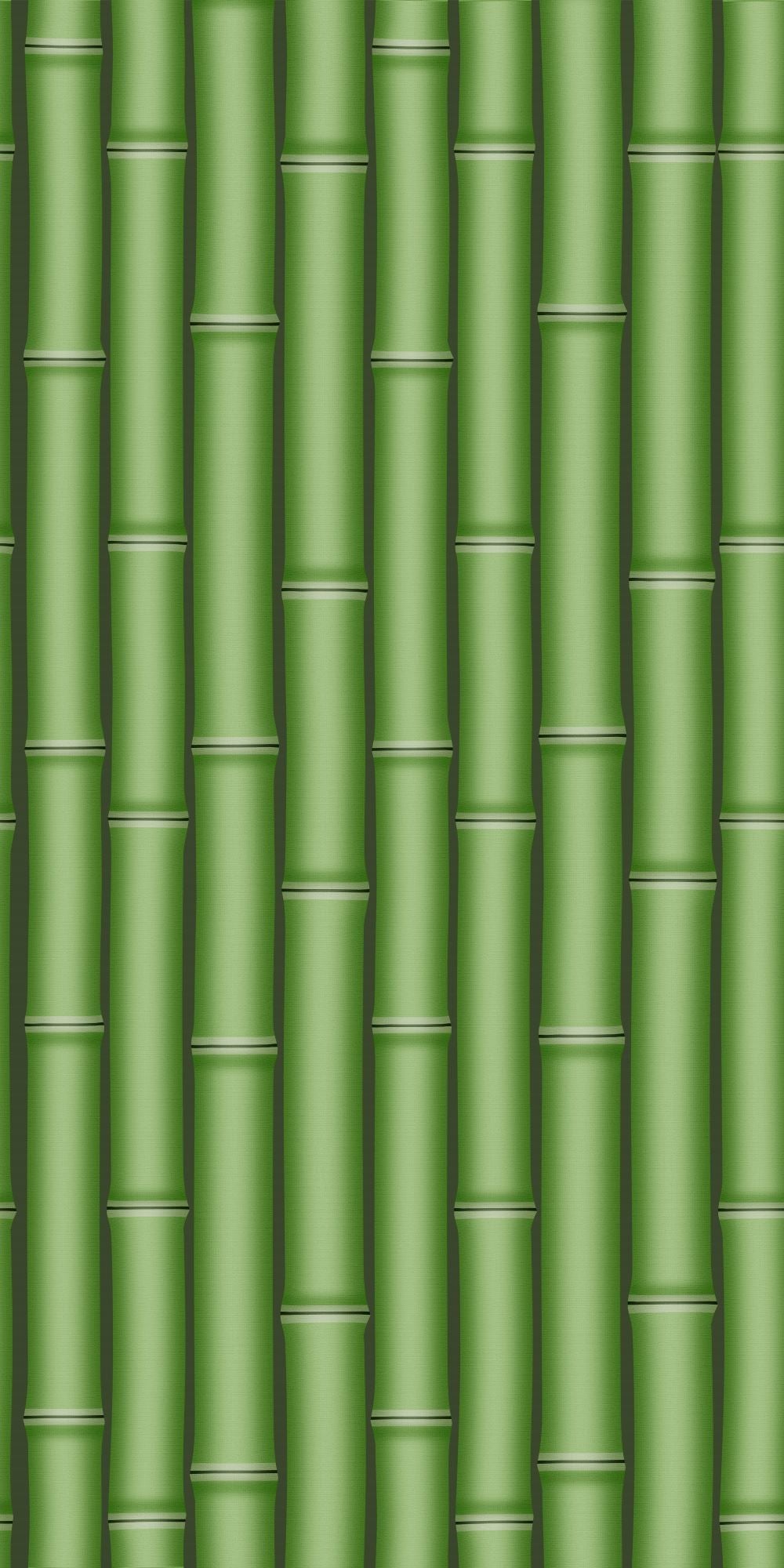 Bamboo Acrylic Wall Panels Home Decor Wall Panels 2440mmm x 1220mm - CladdTech