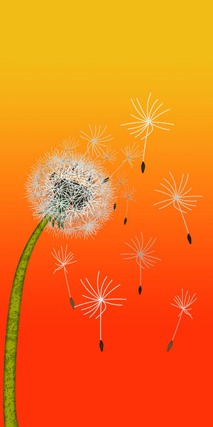 Big Sunset Dandelion Acrylic Wall Panels Home Decor Wall Panels 2440mmm x 1220mm - CladdTech