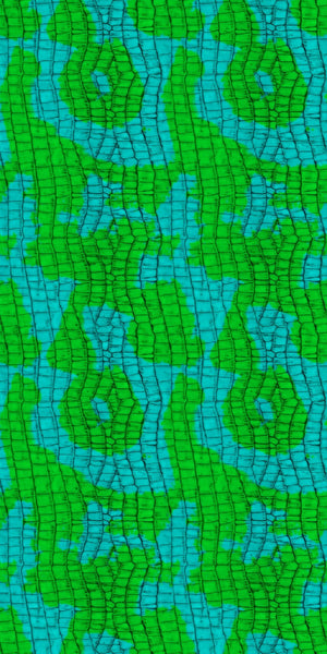 Animal Print Acrylic Wall Panel Sample - CladdTech