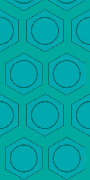 Hexagonal Discs Acrylic Wall Panels Home Decor Wall Panels 2440mmm x 1220mm - CladdTech