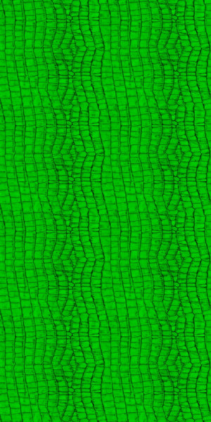 Animal Print Acrylic Wall Panel Sample - CladdTech
