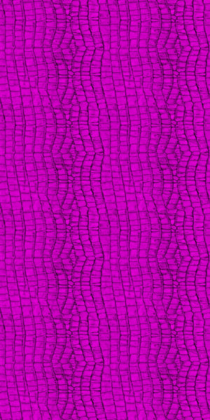 Animal Print Acrylic Wall Panel Sample - CladdTech
