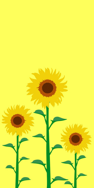 Triple Sunflower Acrylic Wall Panels Home Decor Wall Panels 2440mmm x 1220mm - CladdTech